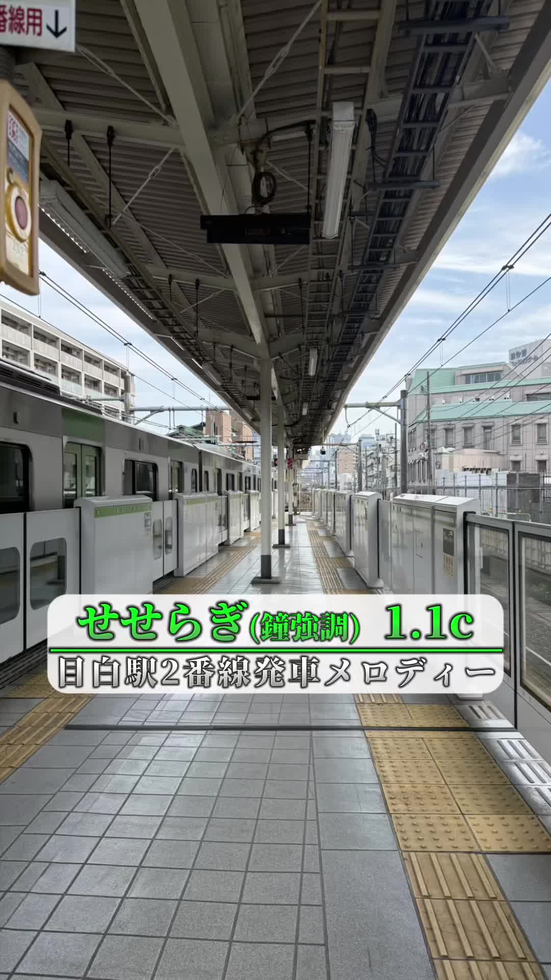 @花咲く丘