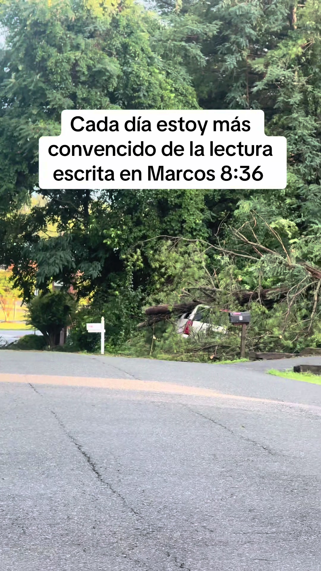@Abel Velásquez 🦺👷♂️