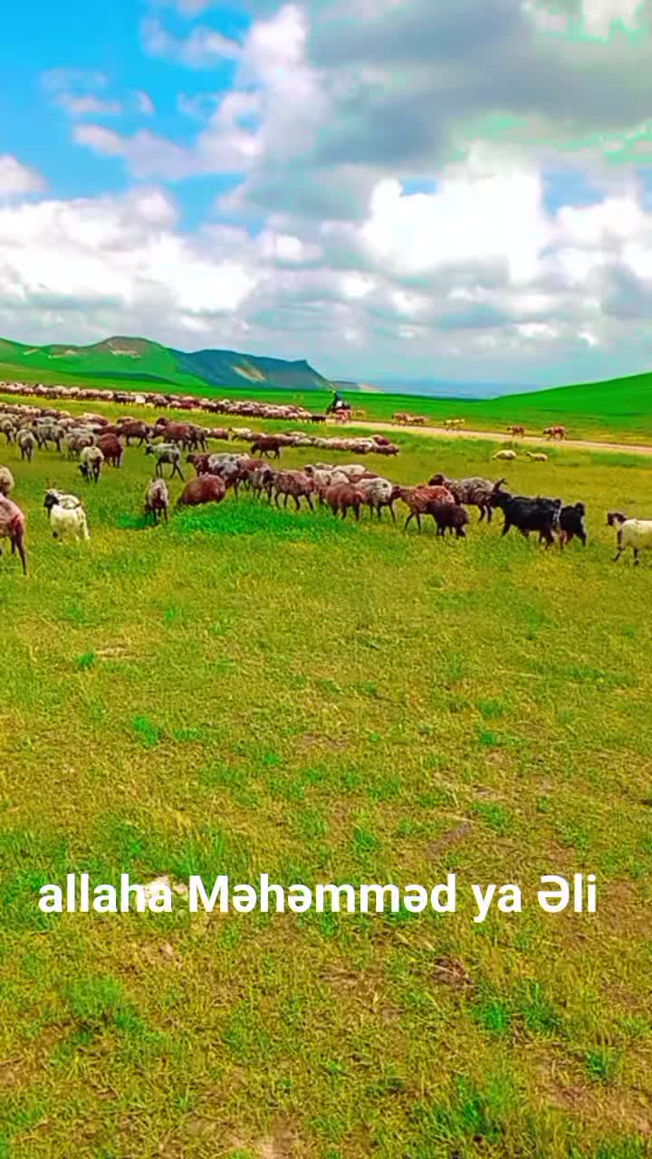 @Adil ceferov 61