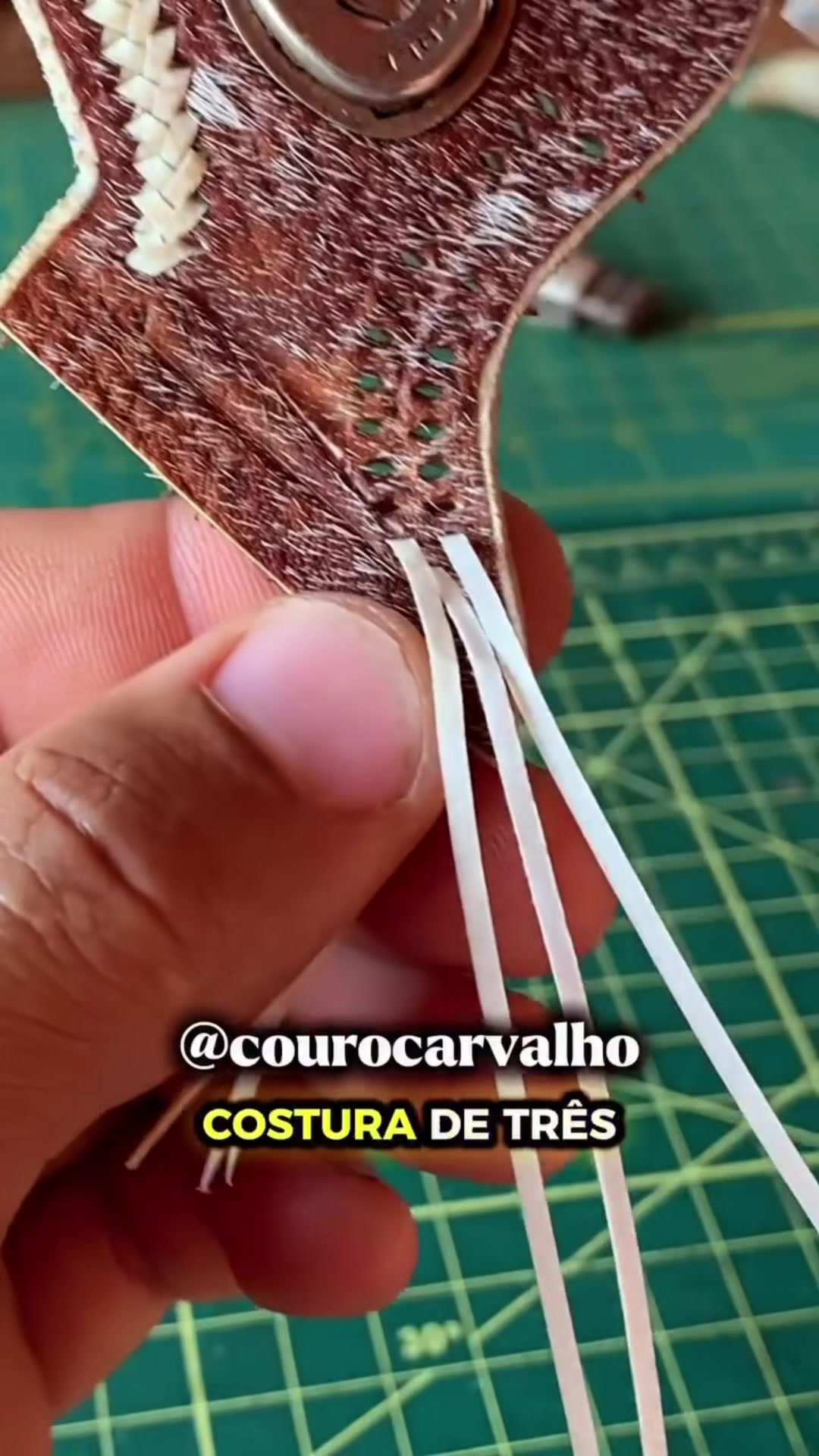 @Couro Carvalho