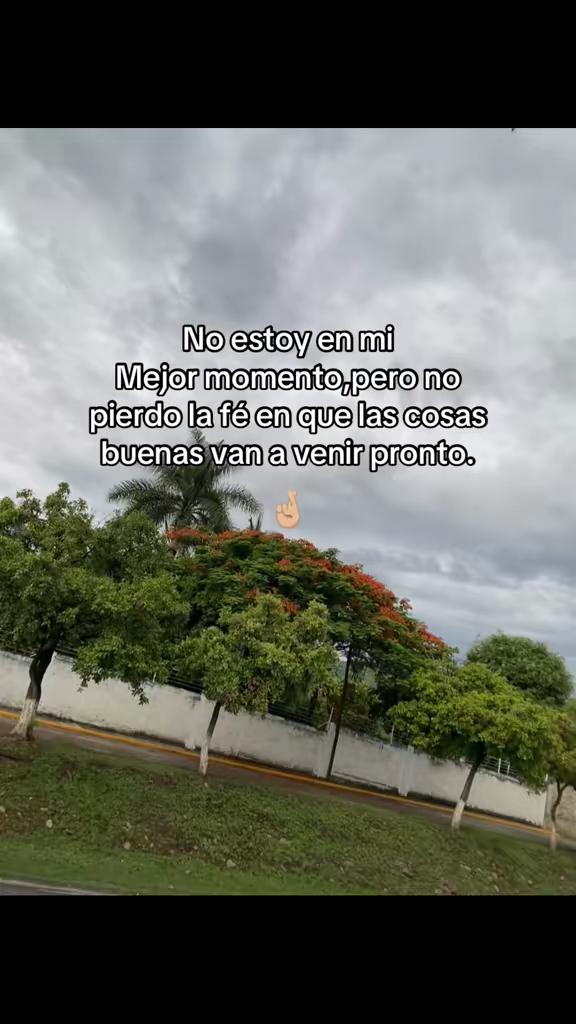 @🌙