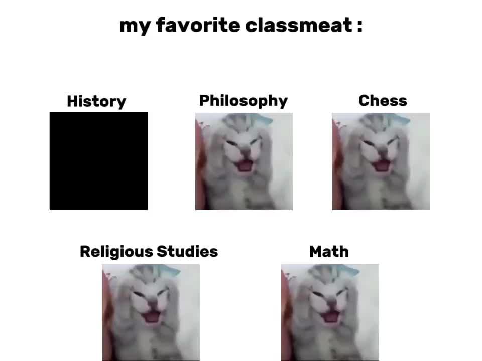 @Ilyas Meme-Edit History『C.O.I』