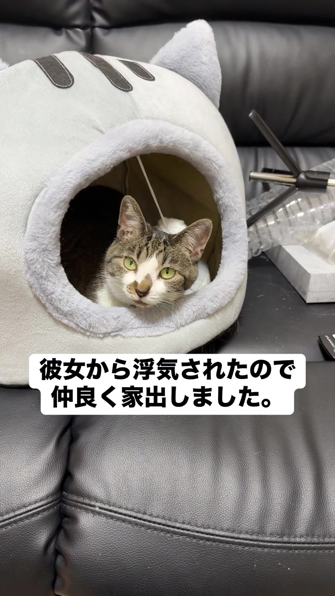 @ใจใใ๐๐ค๐3/28๐