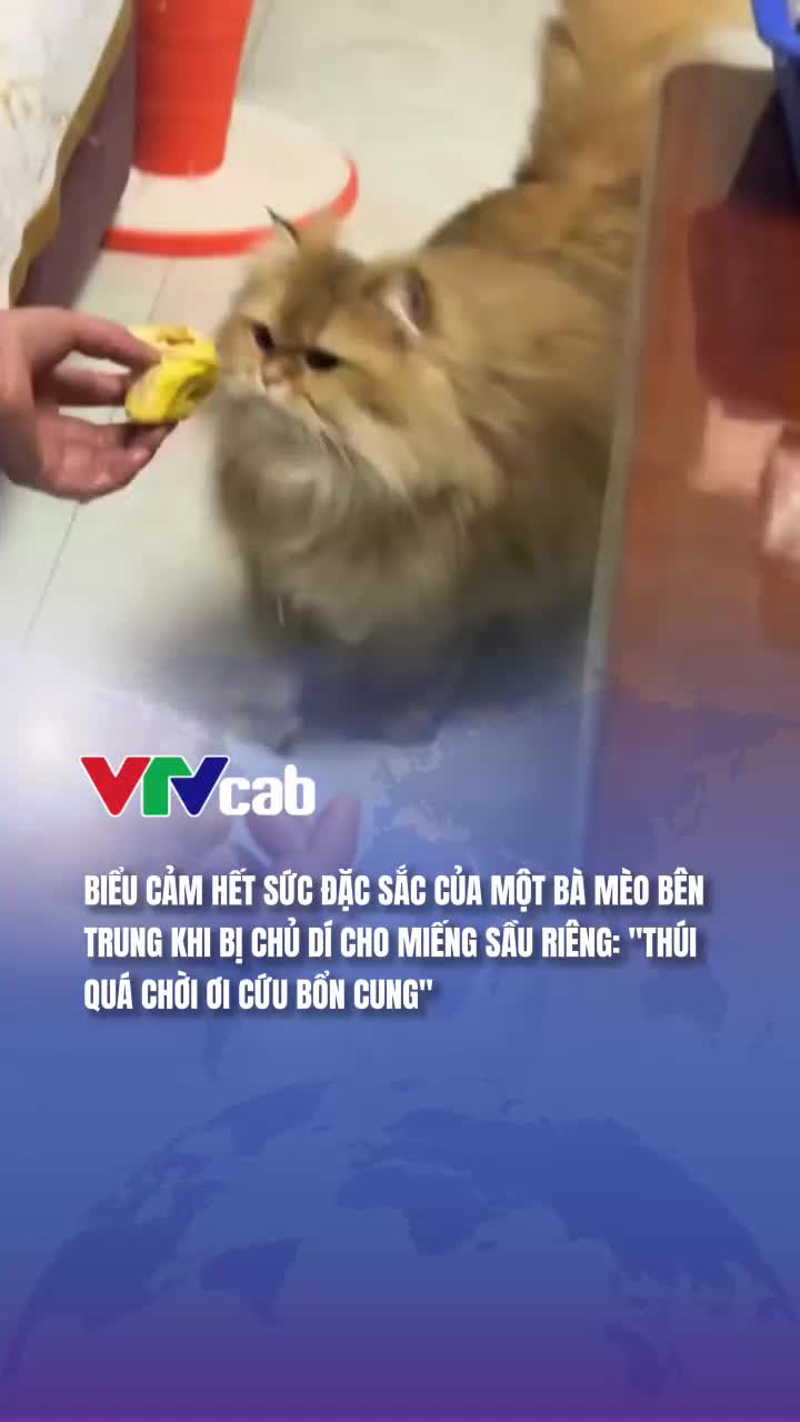 @VTVcab Trending - Giải tr&iacute;