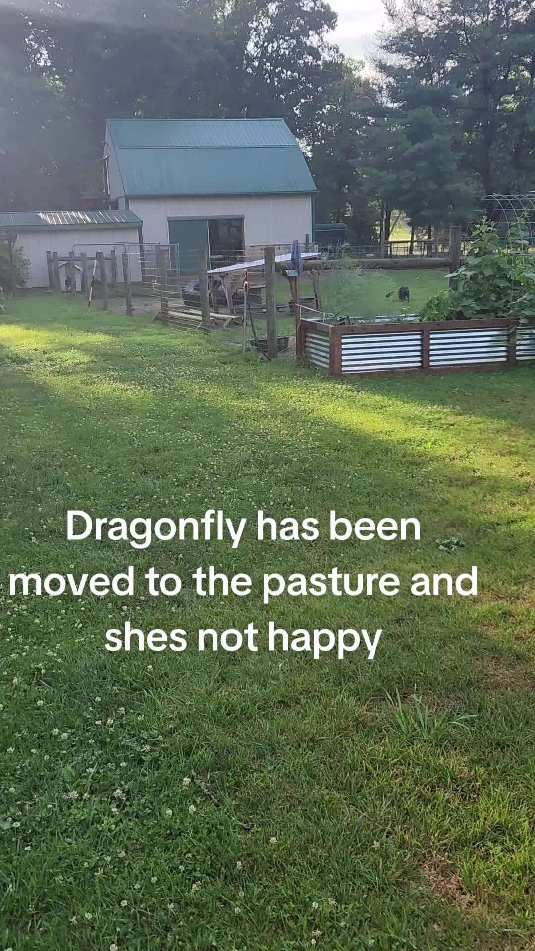 @smith__homestead33