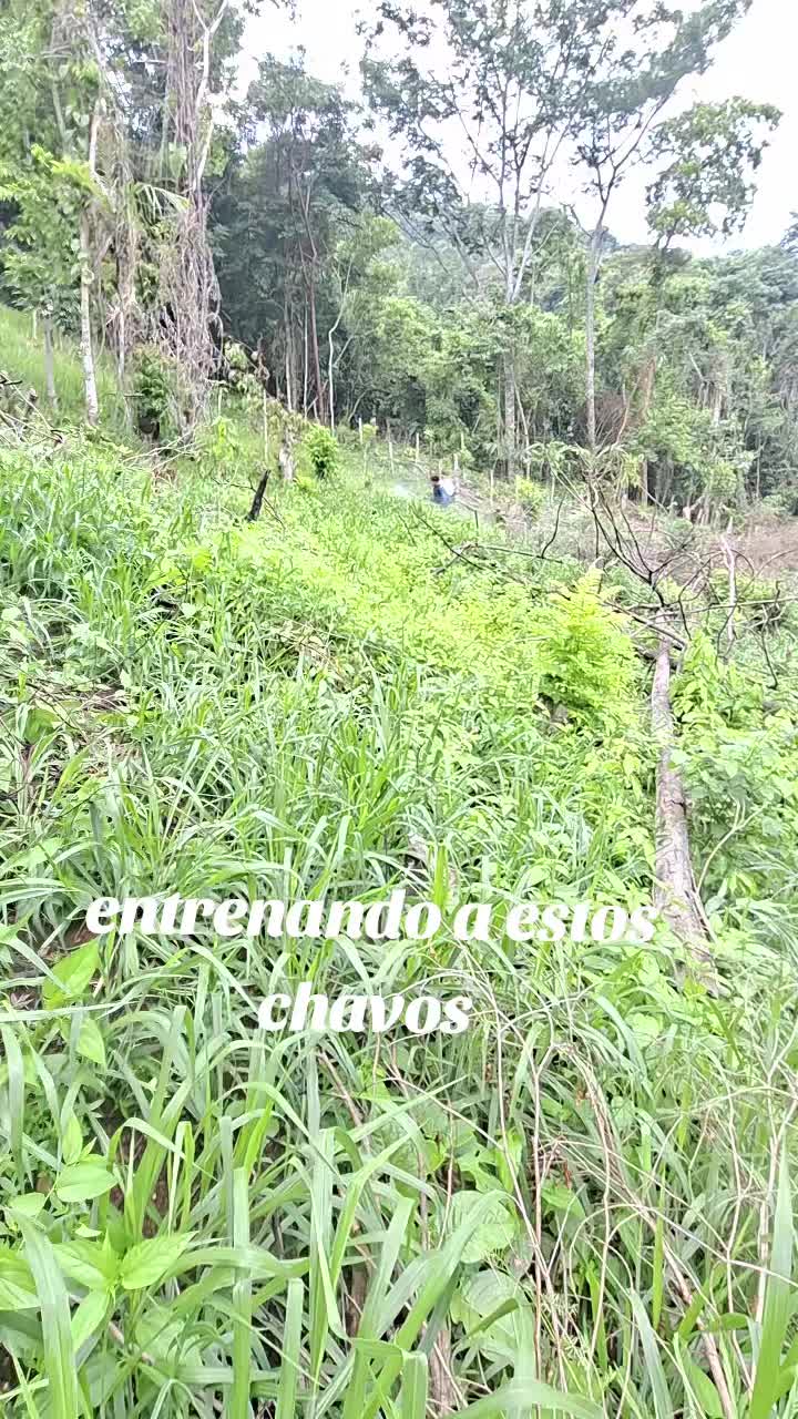 @Juan Altunar