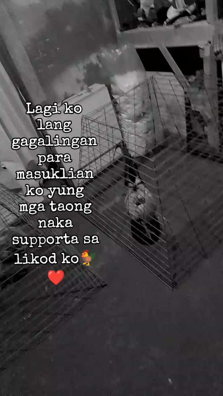 @Tatuy's BKYRD