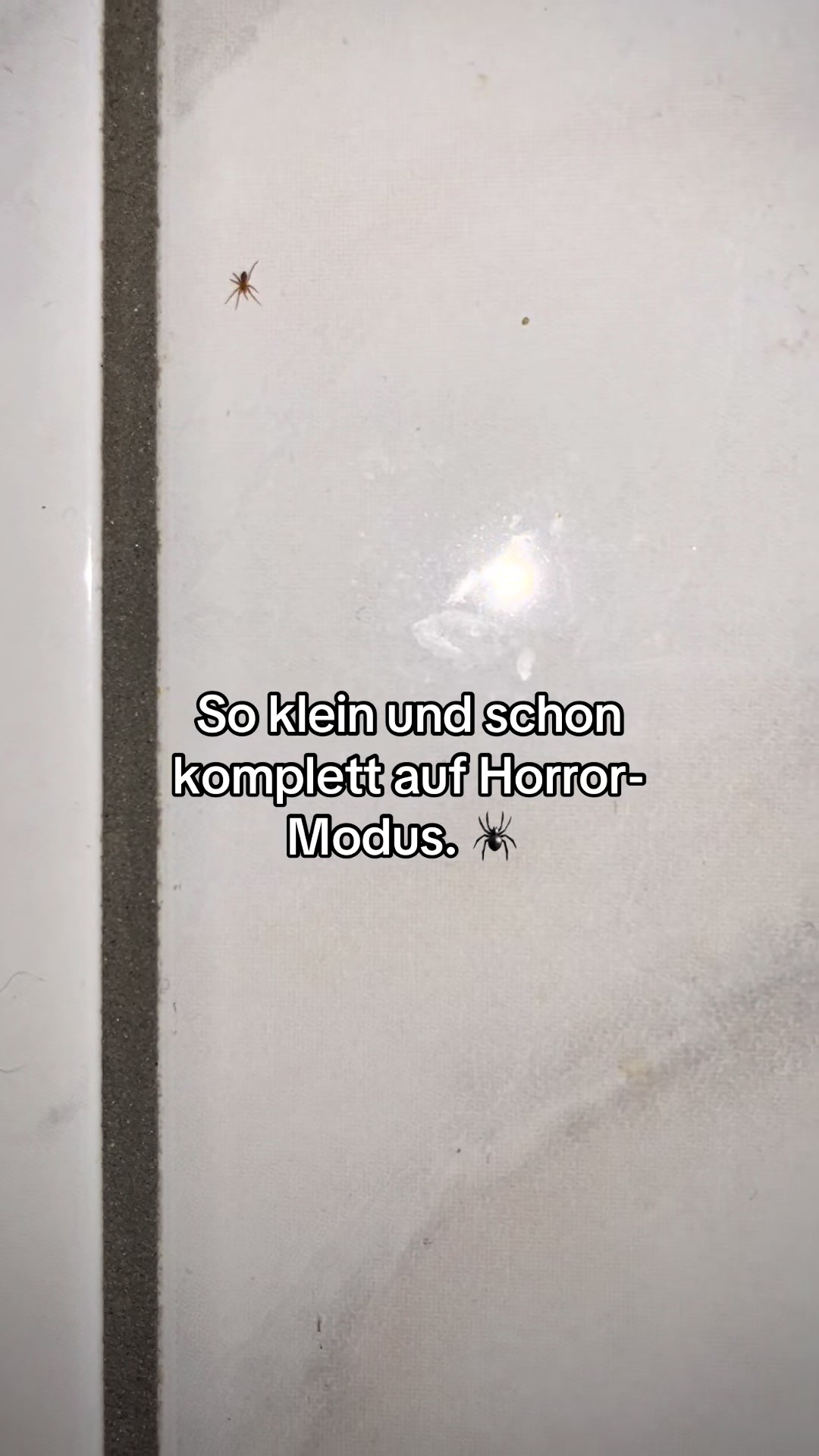 @klaudia.xo