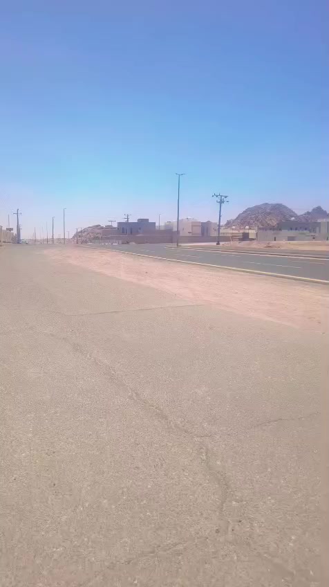 @توقیر نمبردار ۔🇸🇦