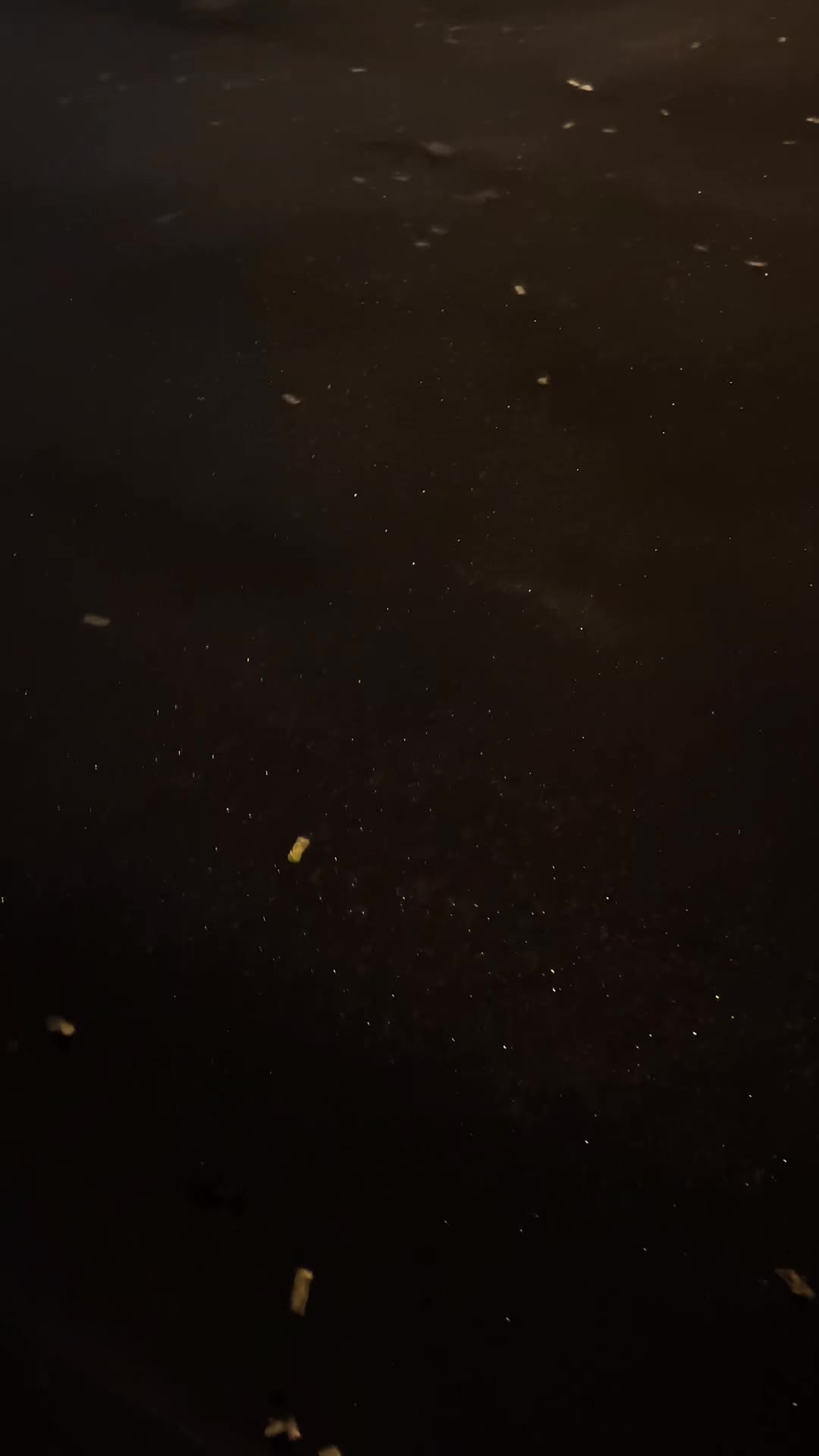 @ɪᴠᴀɴ | ᴀɢʀᴏ🫡