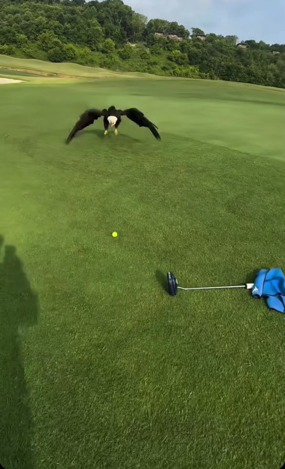 @lol.milo.golf