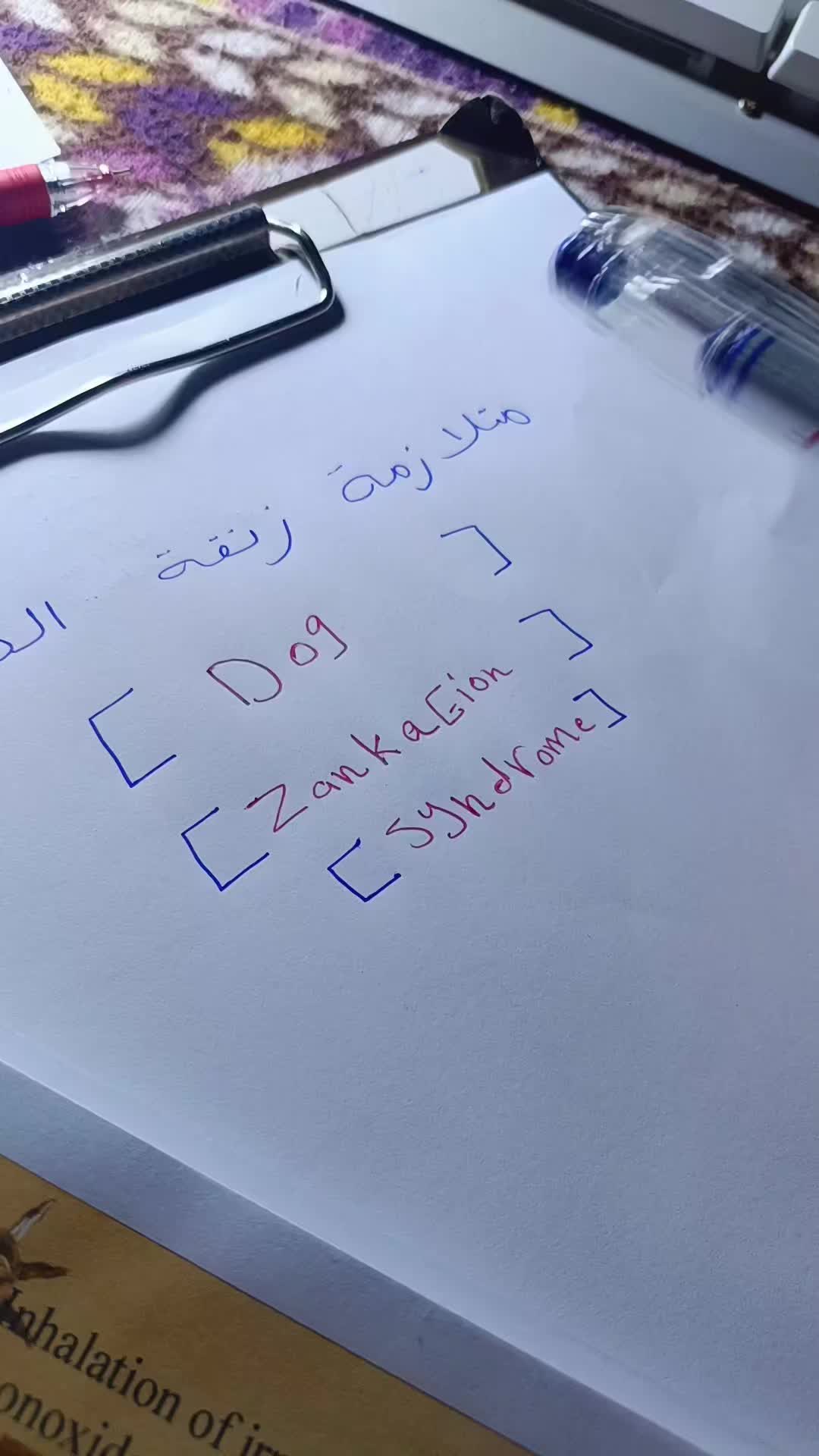 @ABO ELSHOUK ๐ท๏ธ