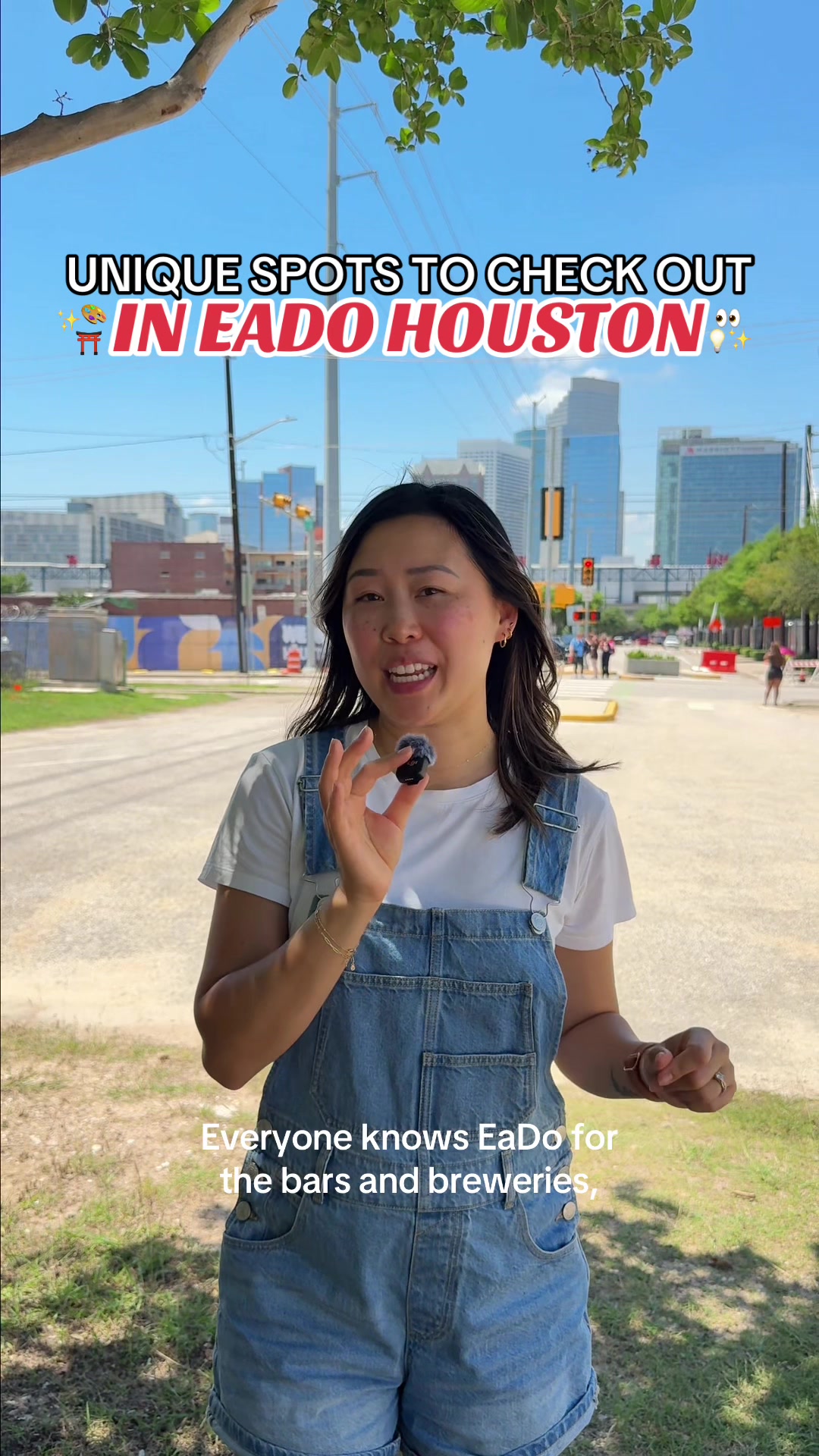 @Houston Hotspots