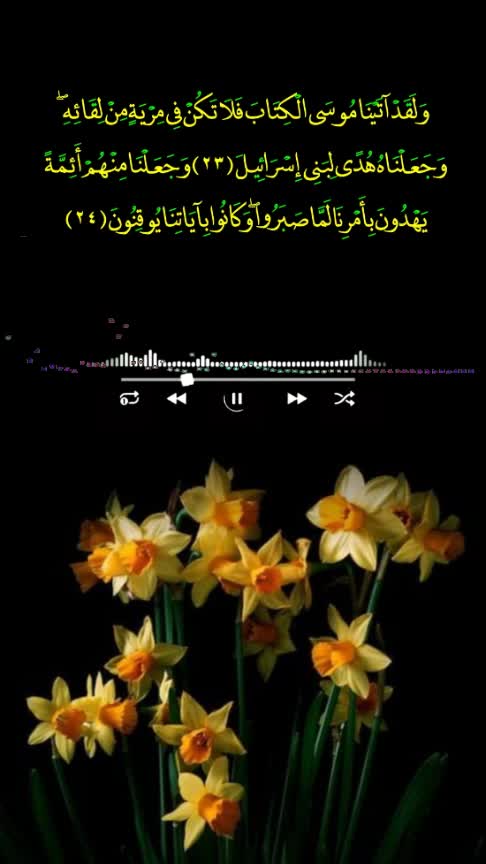 @Youserseef