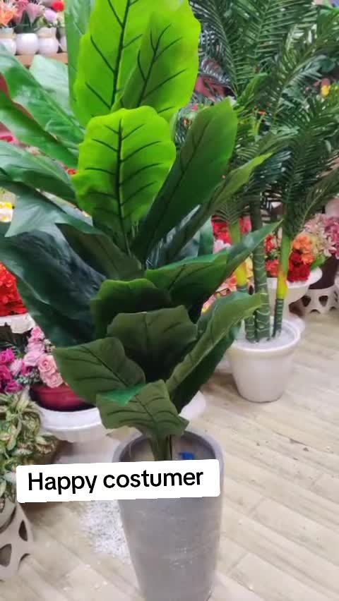 @Flora_p0int-dhumbarahi