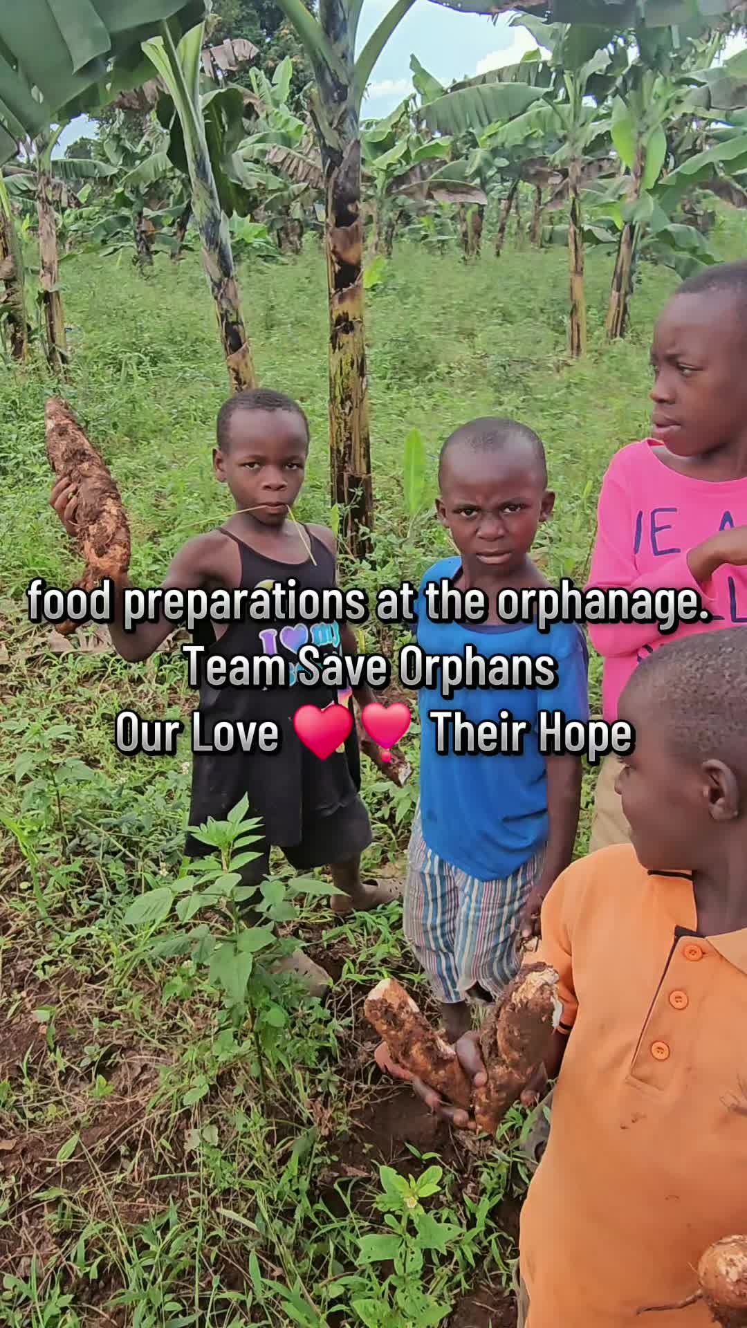 @TEAM SAVE ORPHANS