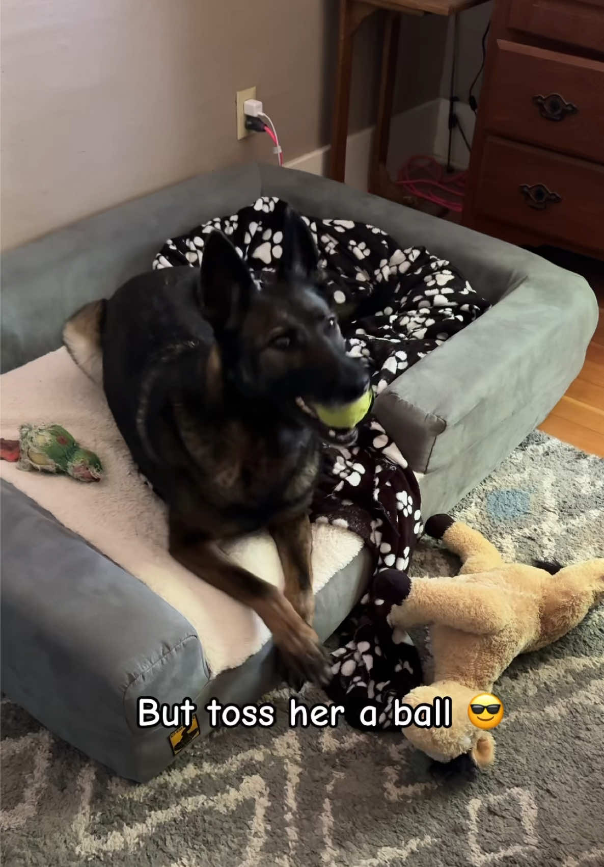 @K9 Dina