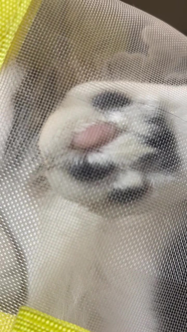 @PawsAndClaws