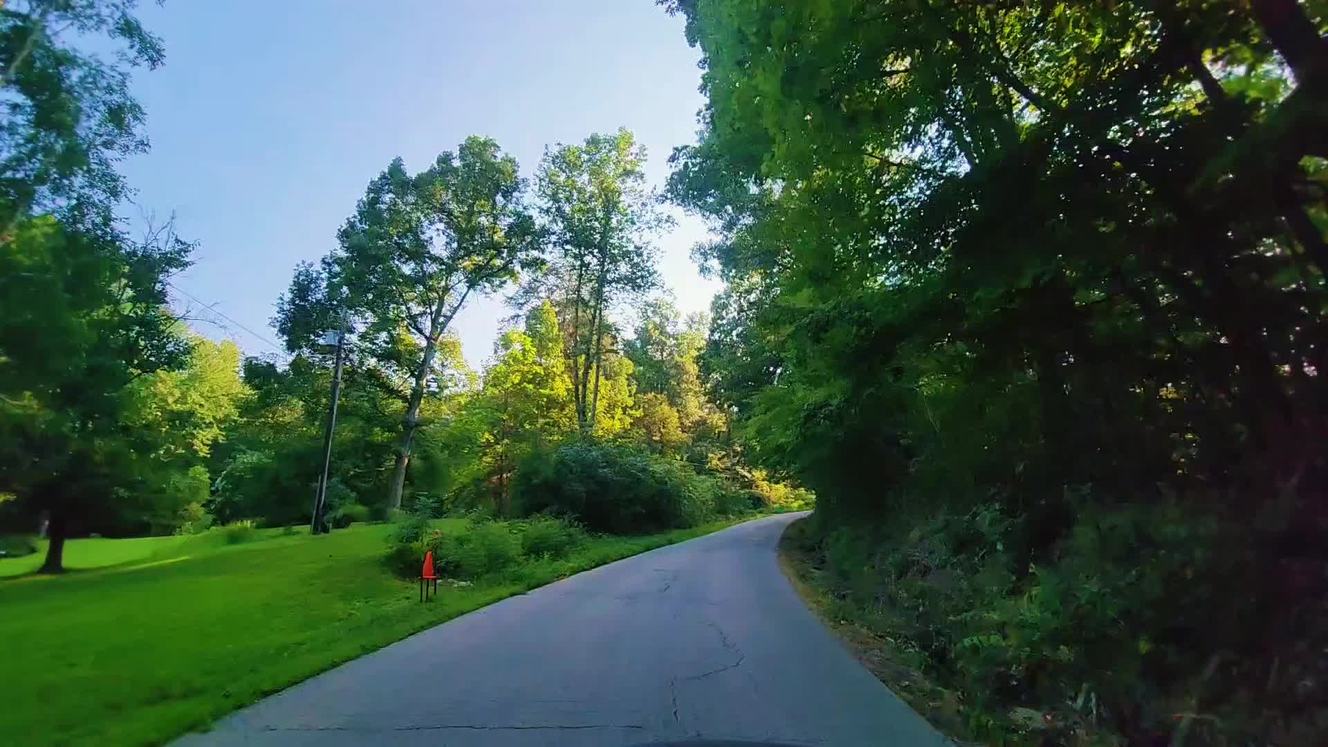 @Forte 🌳🌲🌴 ⛰️