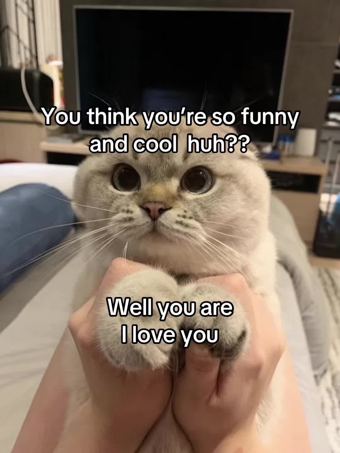 @LavanderCat