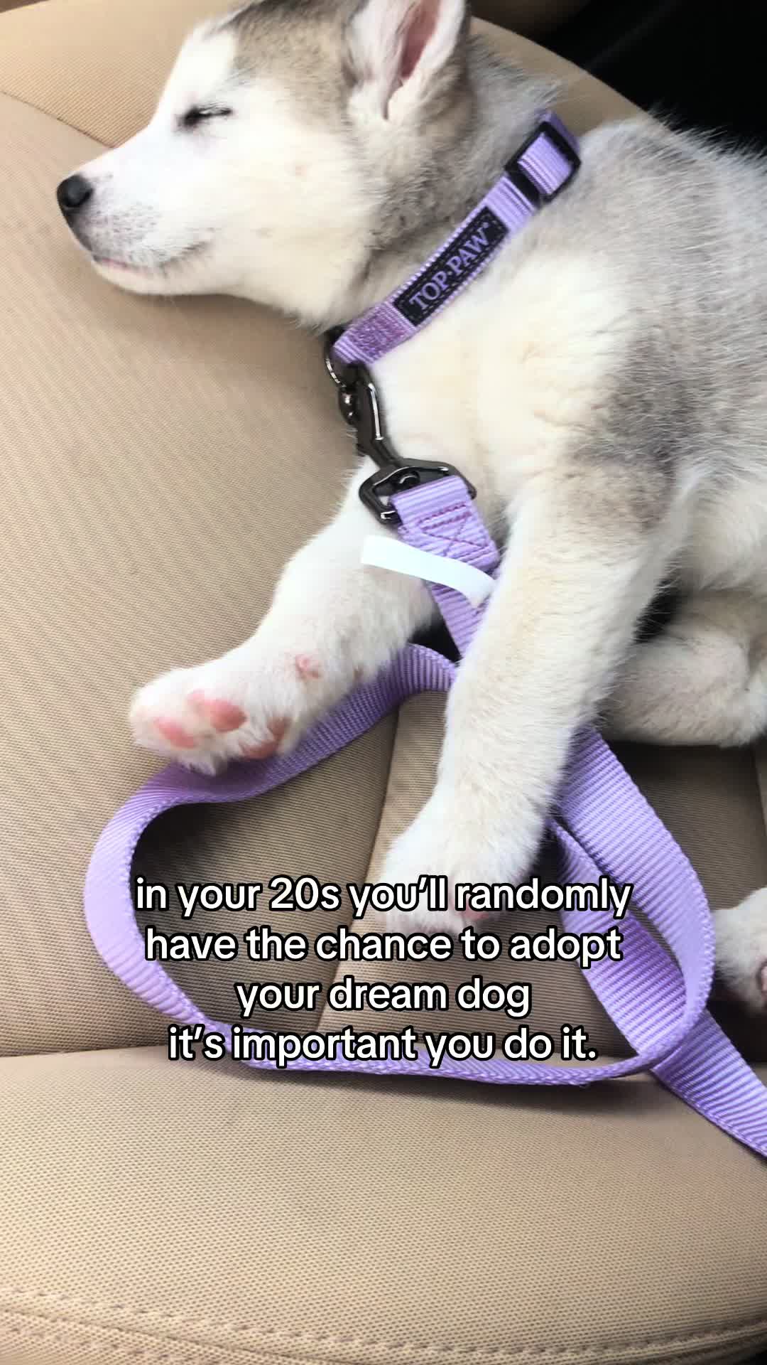 @ANNA
