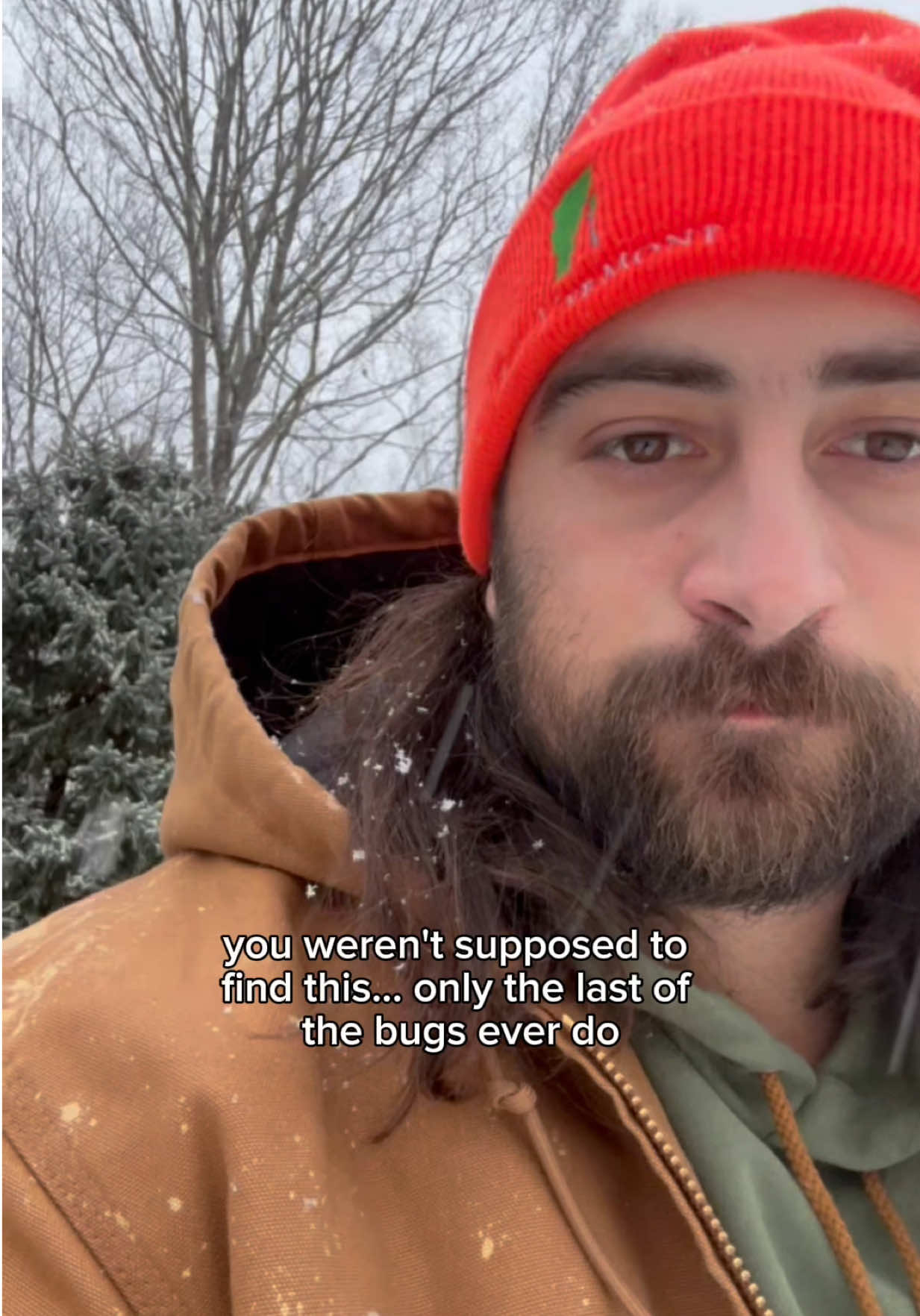 @thelastofthebugs