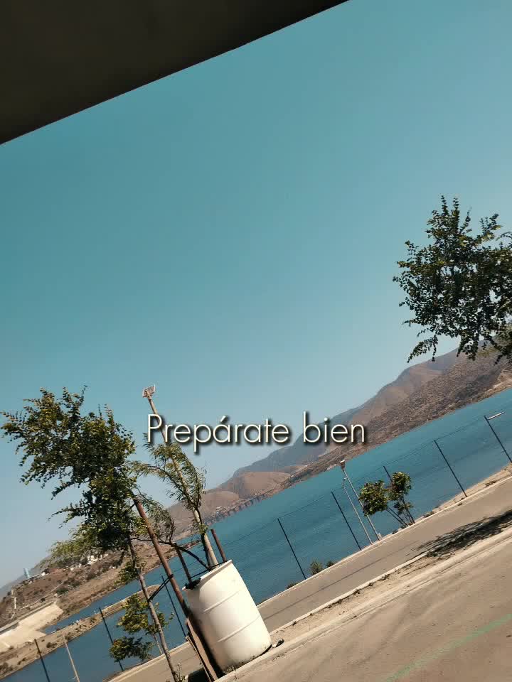 @X_XDALy