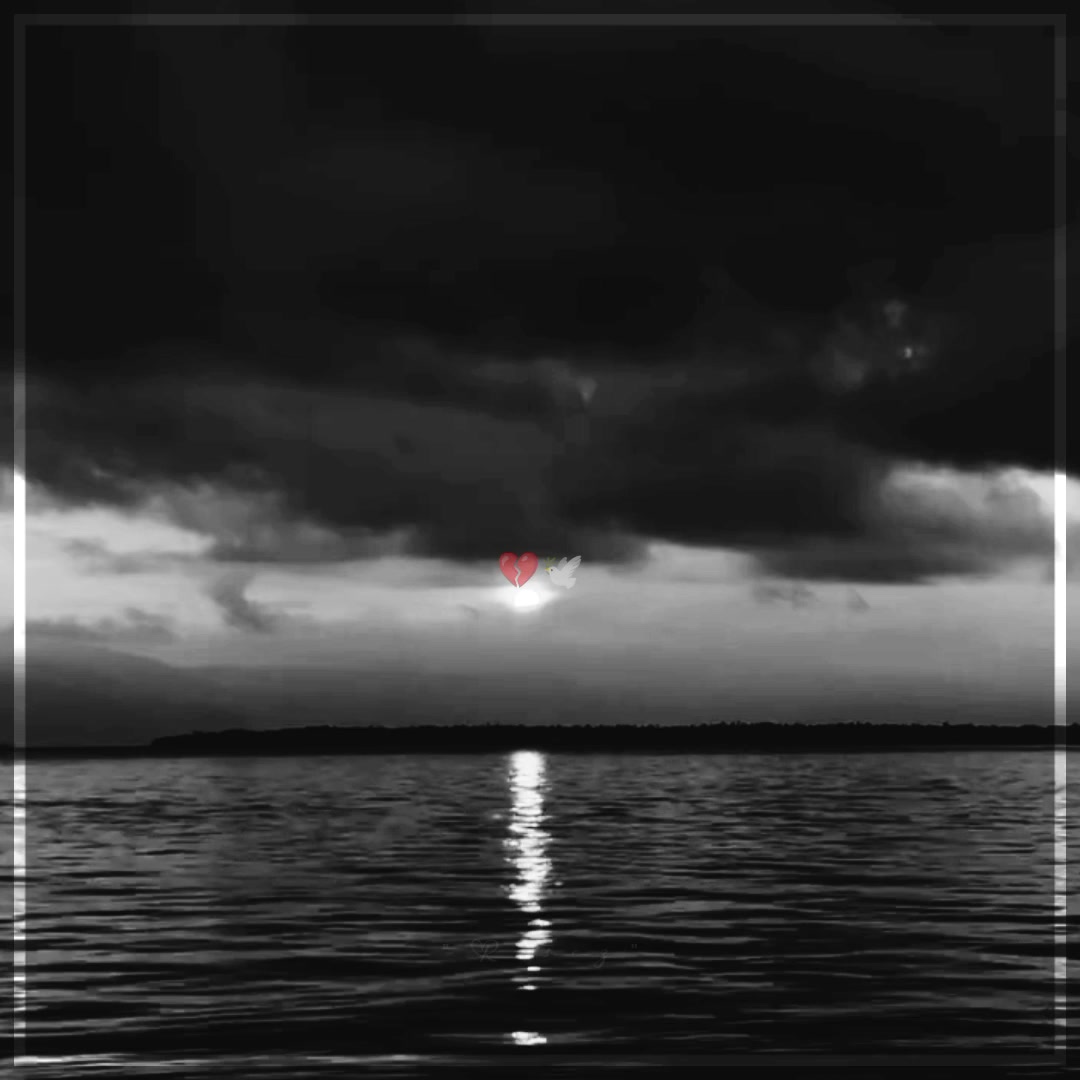@𓂃♡ 𝓻𝓸𝓼𝓮𝔃 𝓵𝔂𝓻𝓲𝓬𝓼 🌙