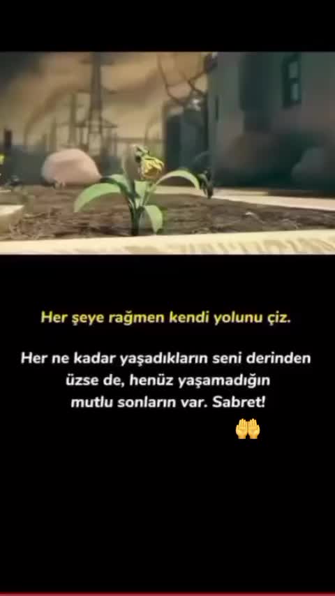 @Leyla 07/46