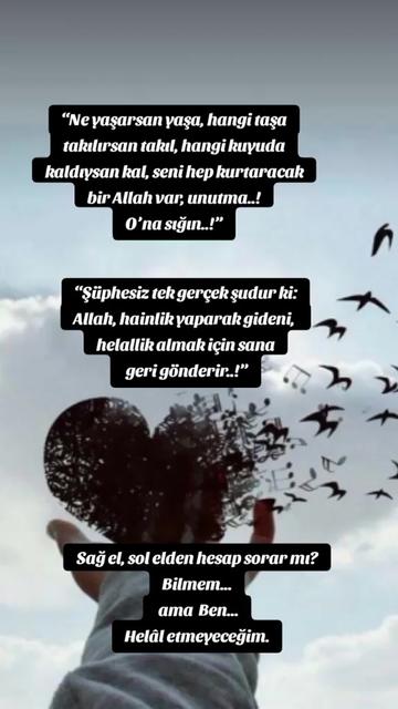 @🇹🇷 Zeynep 🇹🇷