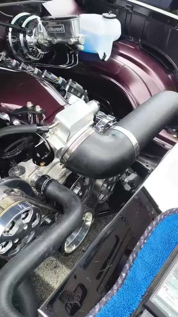 @85cutlsx