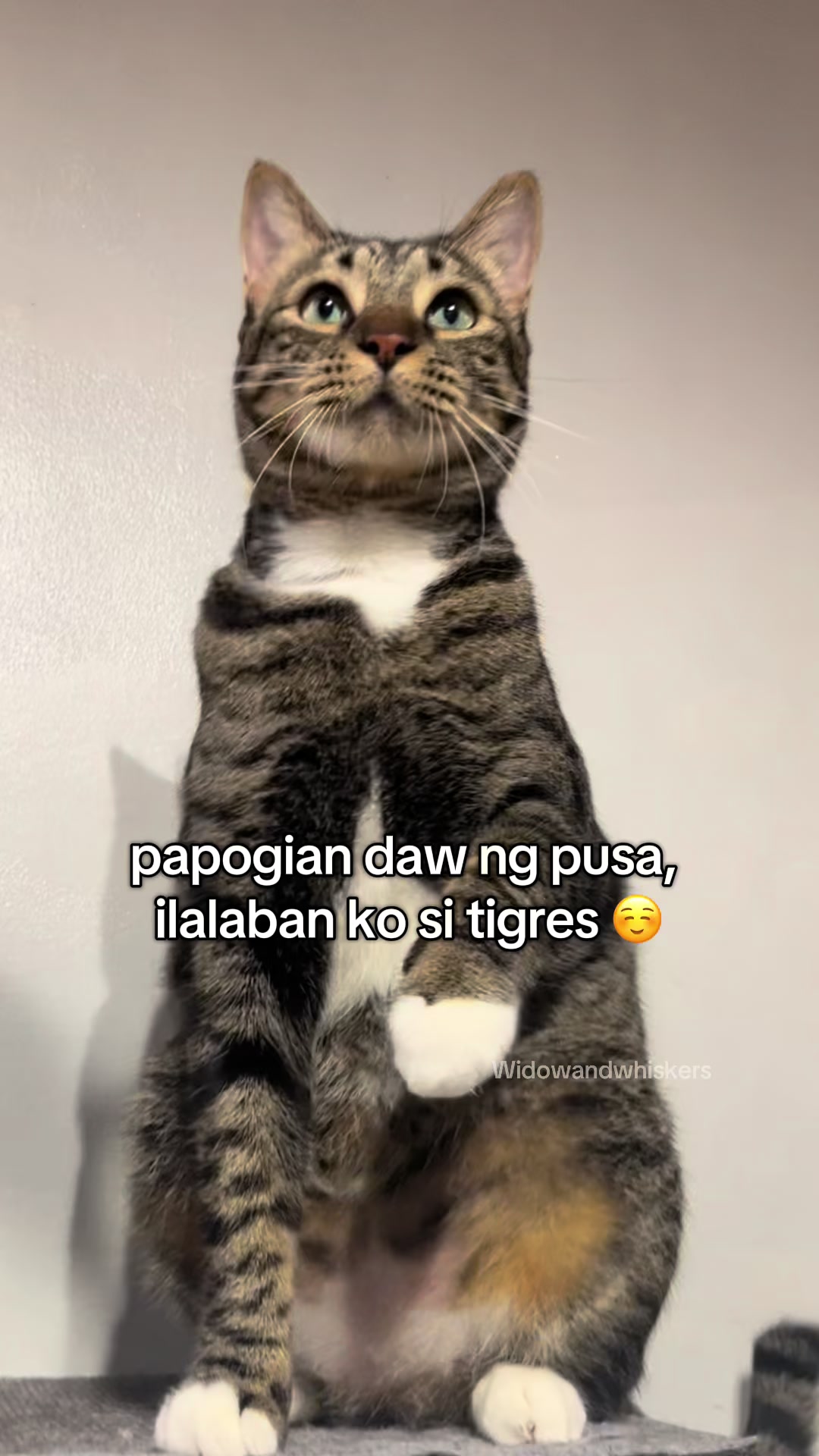 @Ohlly
