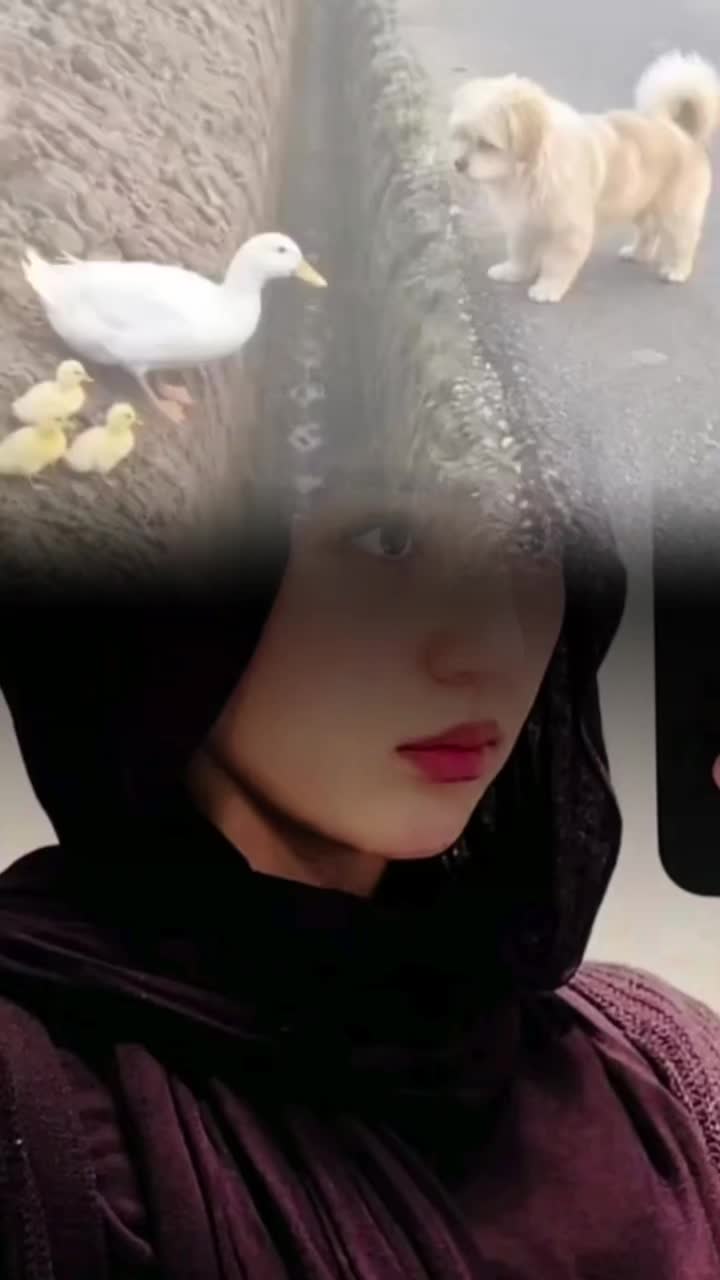 @«_𝒉𝒂𝒚𝒂𝒕_𝒑.𝒋.𝒓