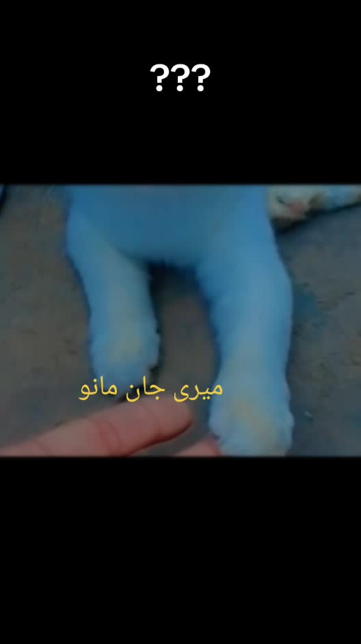 @WARIS Ali brand