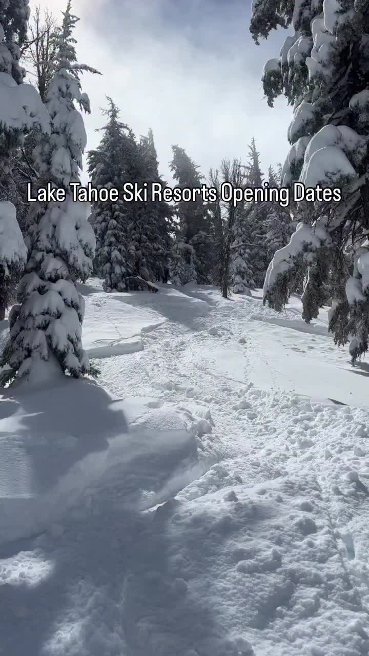 @wilderness.education