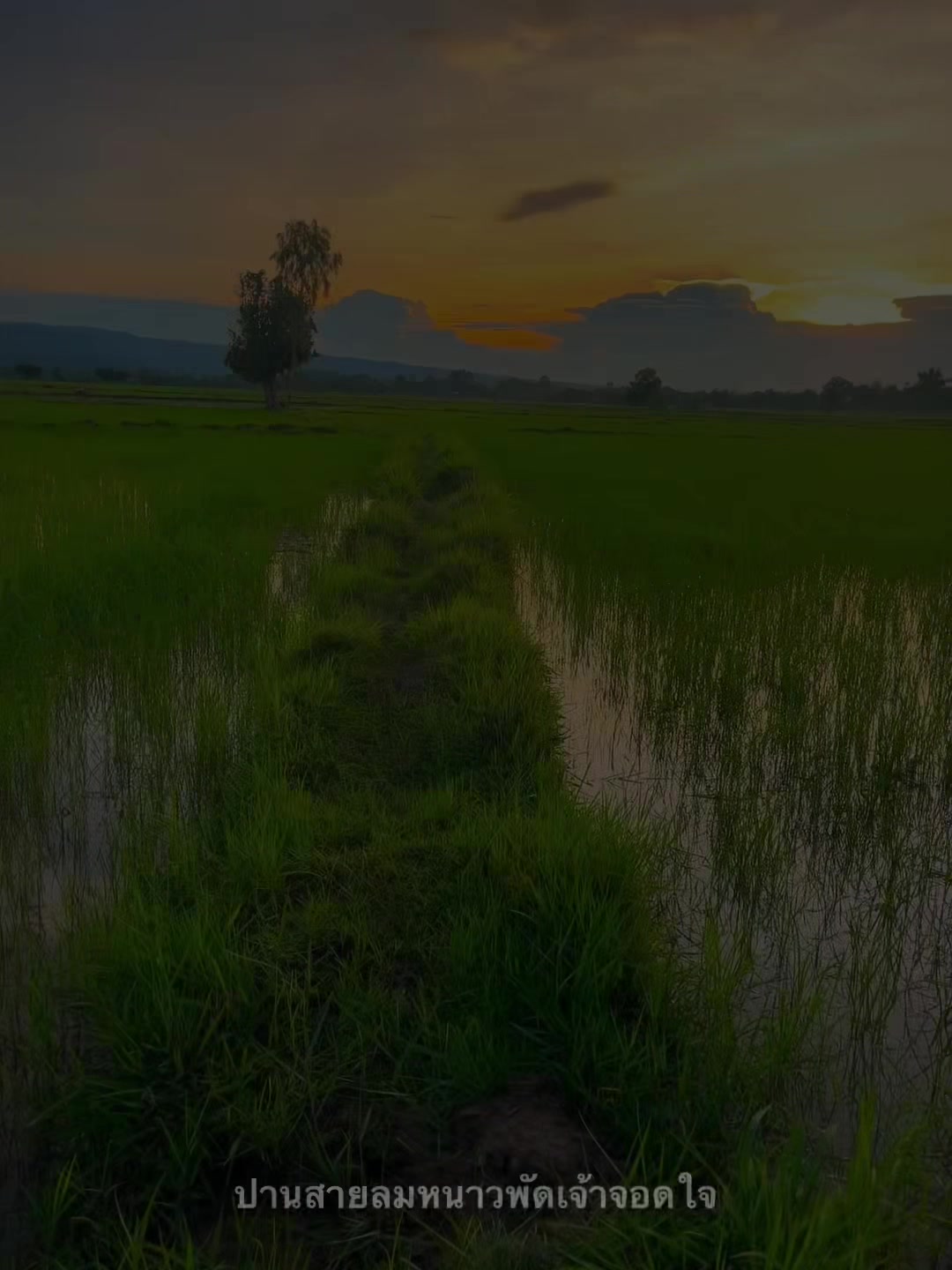 @คนเลาะน้ำ 1