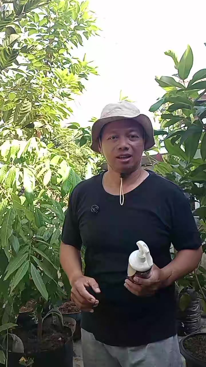 @Berkebun Berkah