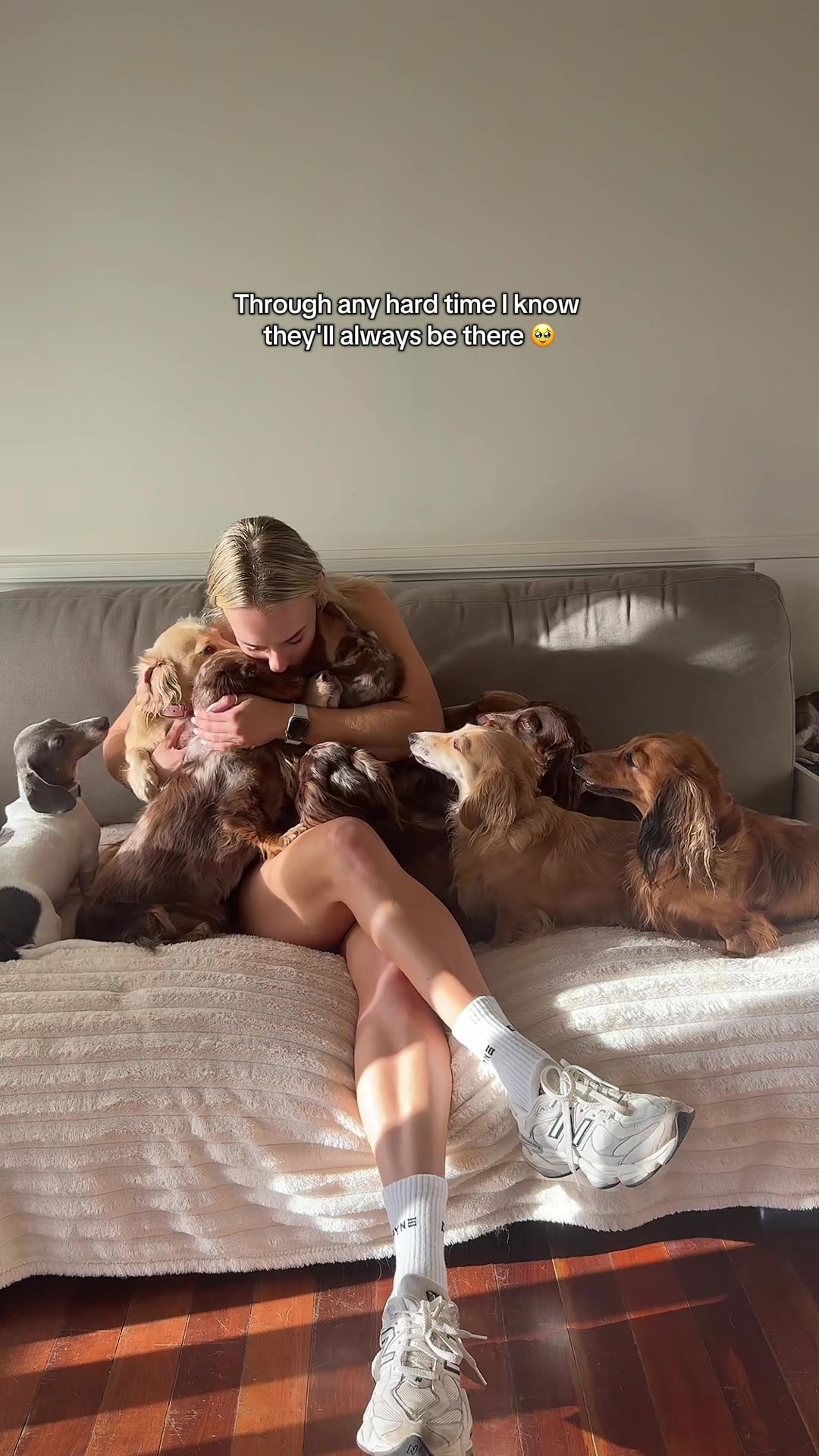 @Dachshund Dynasty