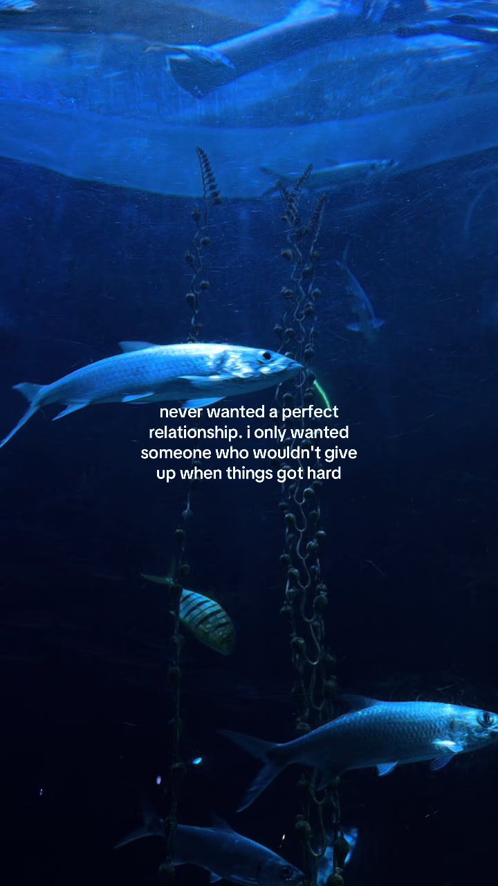 @something i couldn&rsquo;t say