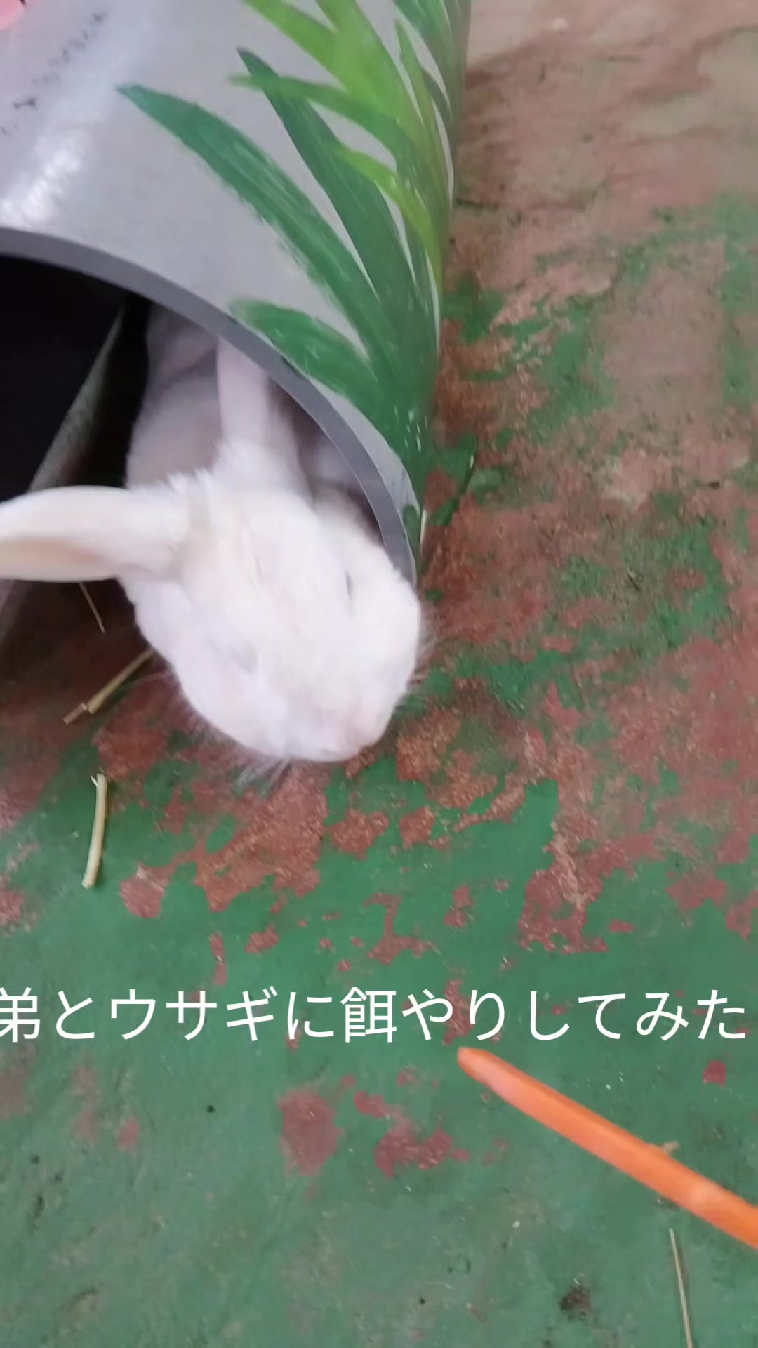 @☄️人の心とかないんか？☄️