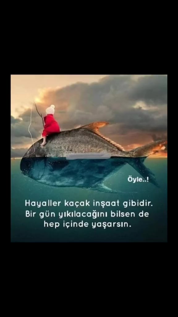 @birnefeskadar55