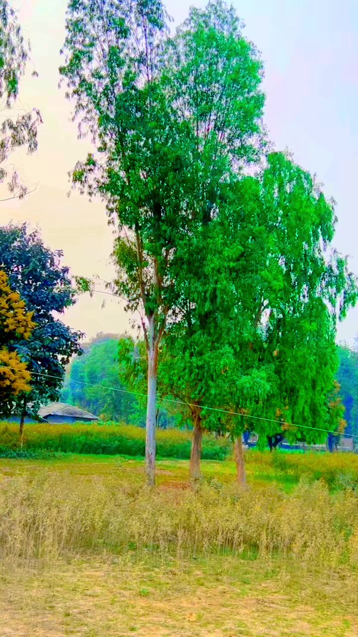 @Rajesh jha