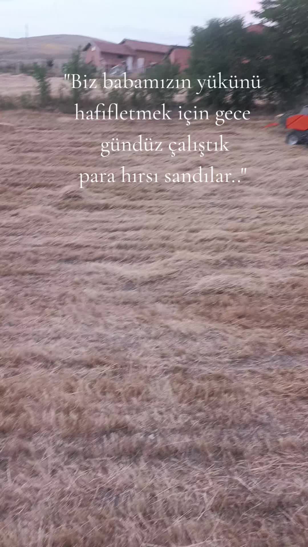 @43.enes_yldrm_