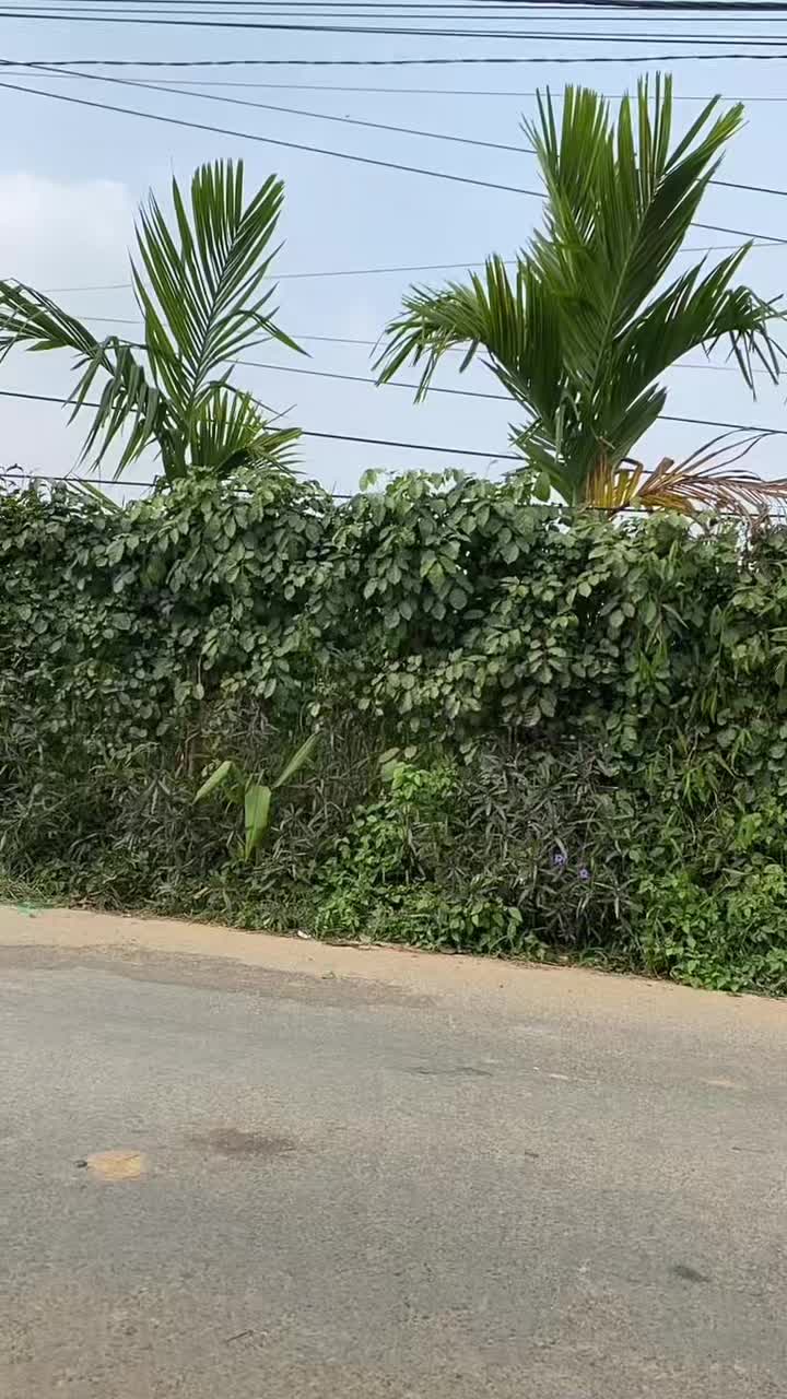 @Tập Lực G&agrave; Chọi -Avi Chim
