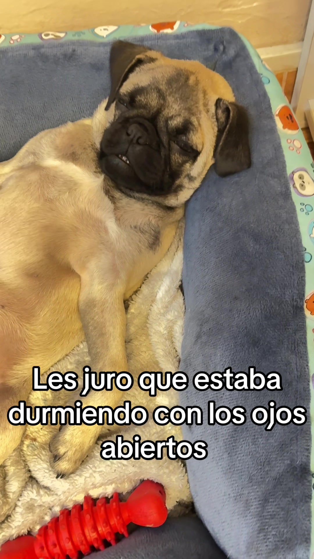 @AtenasWar Lasso
