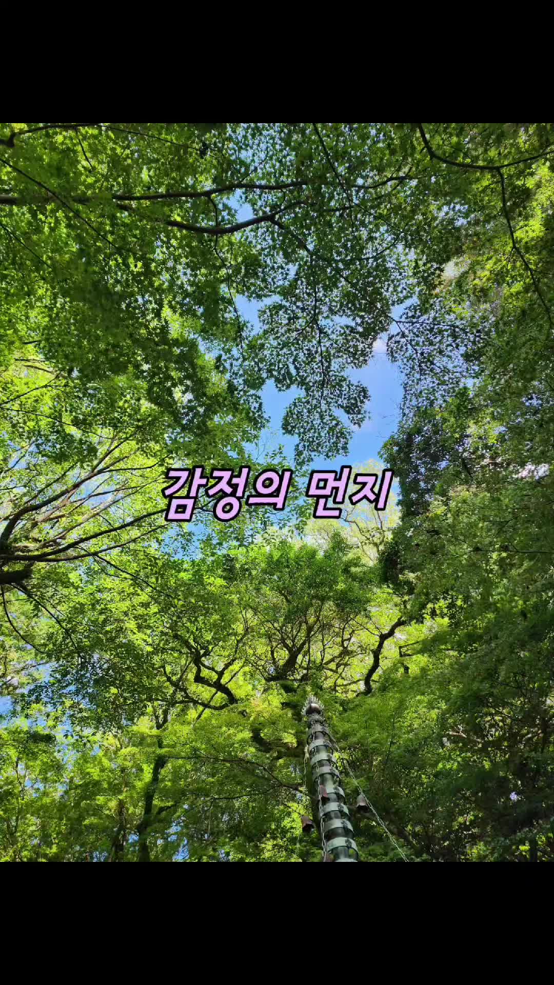 @온나다움&deg;