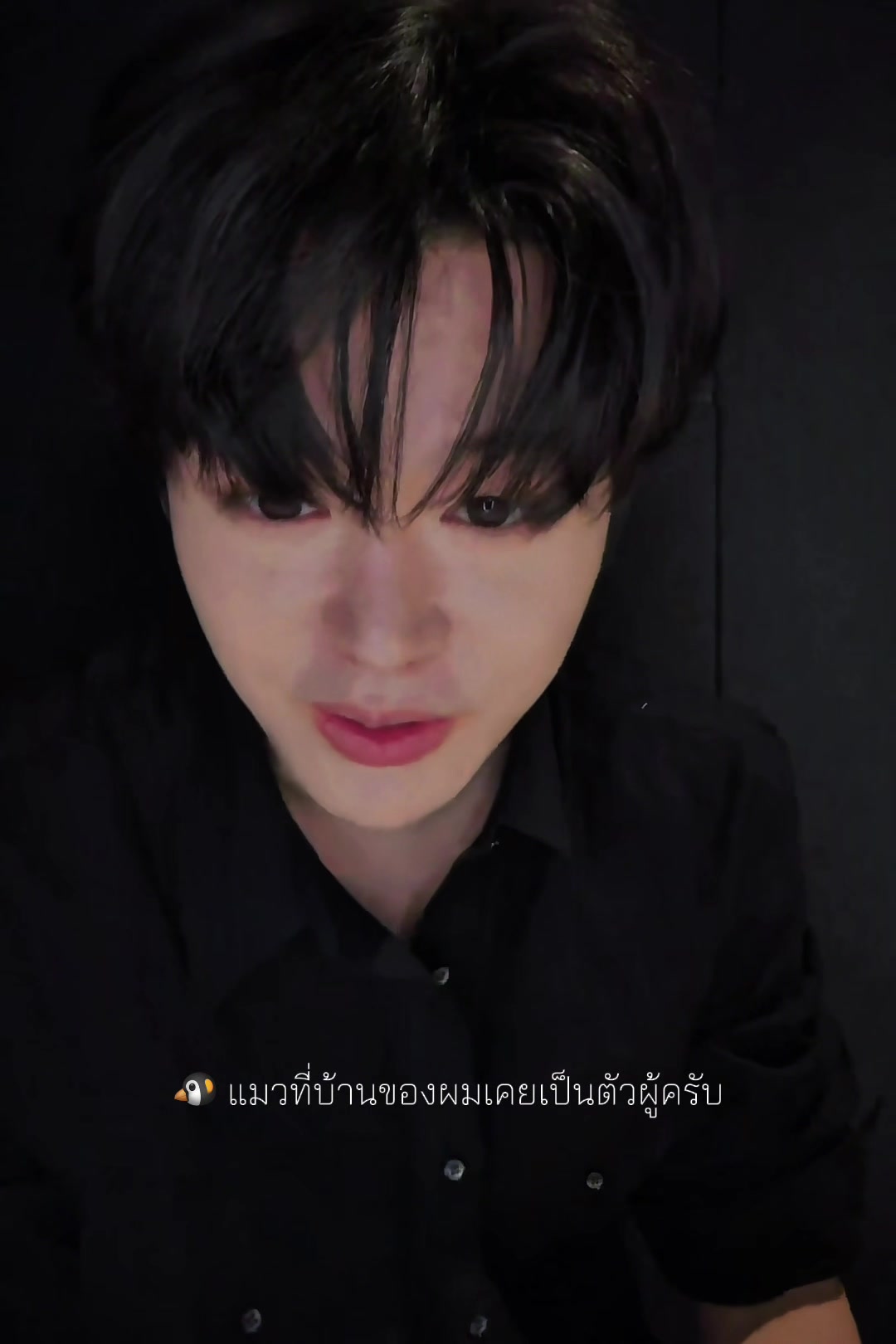 @. . .