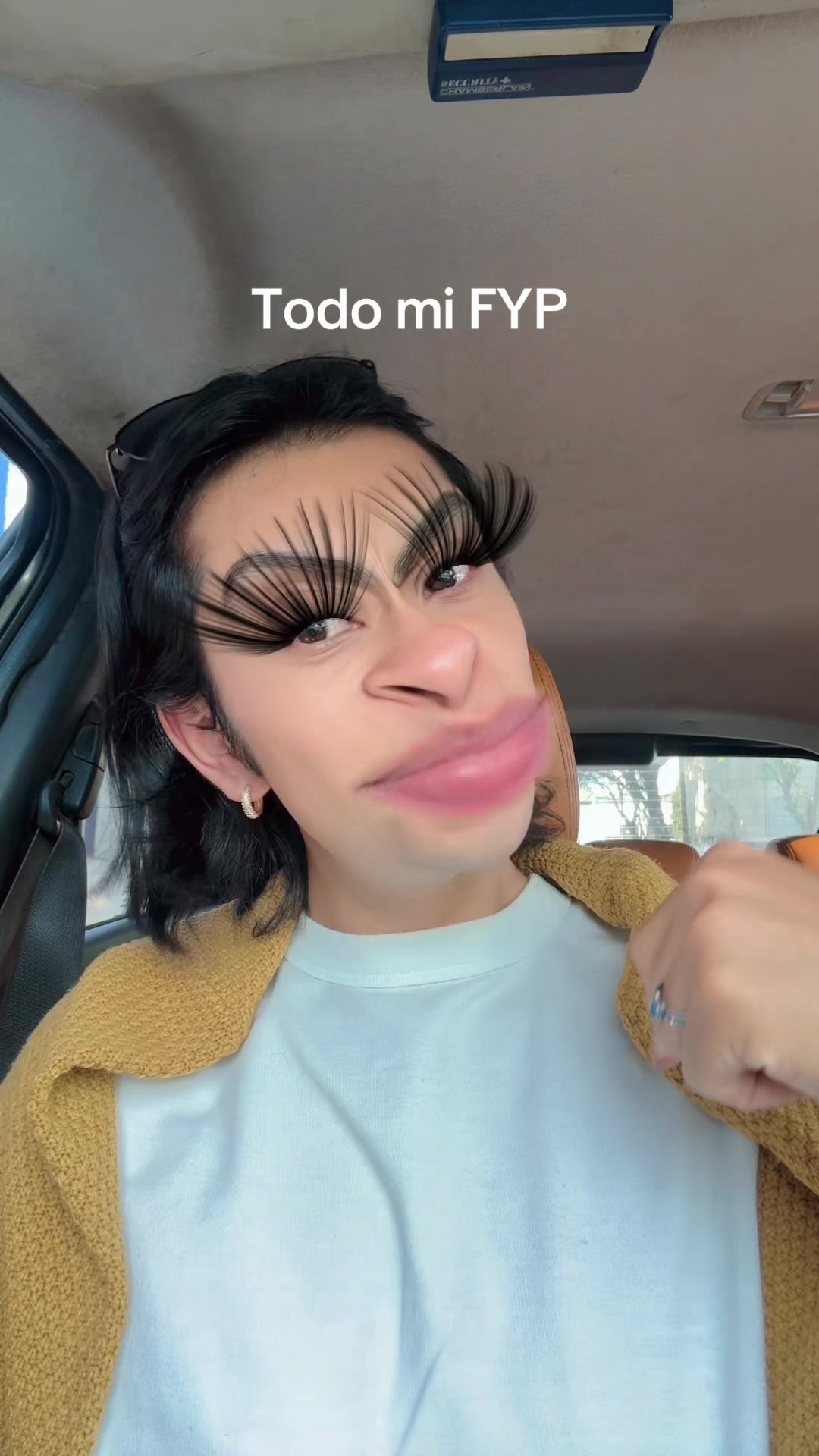 @Alejandro Calderone