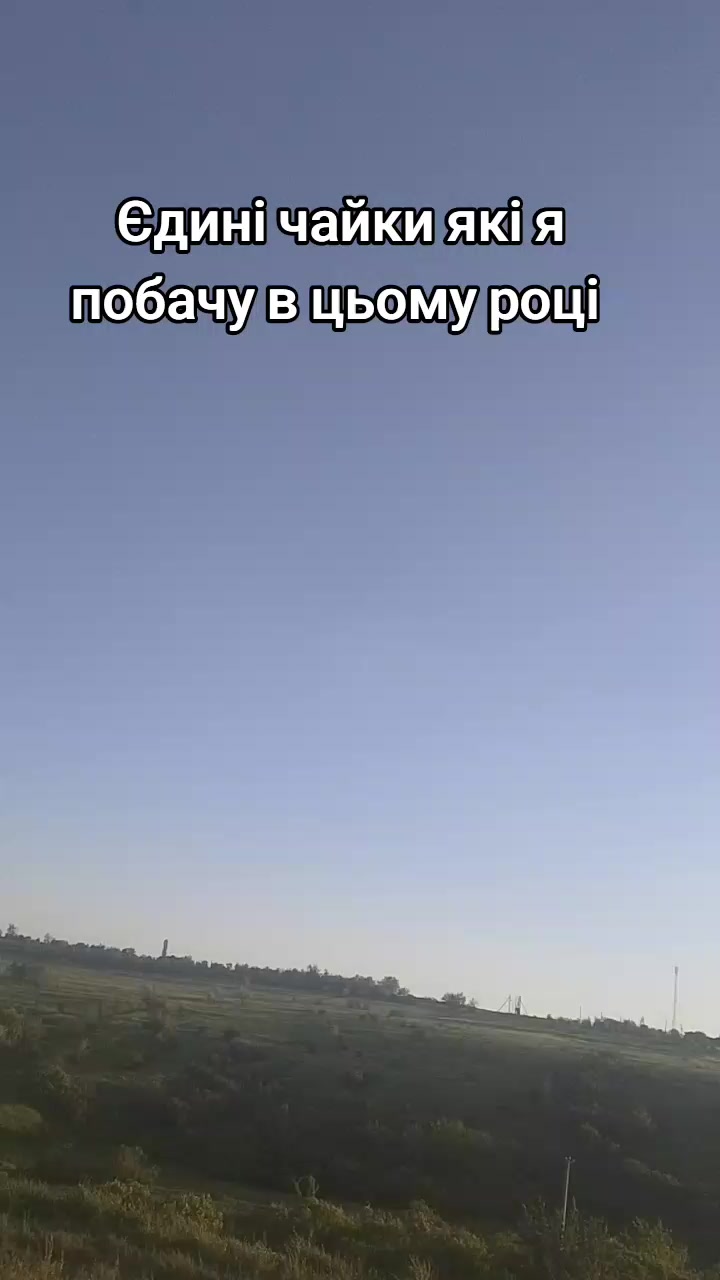 @Анюта