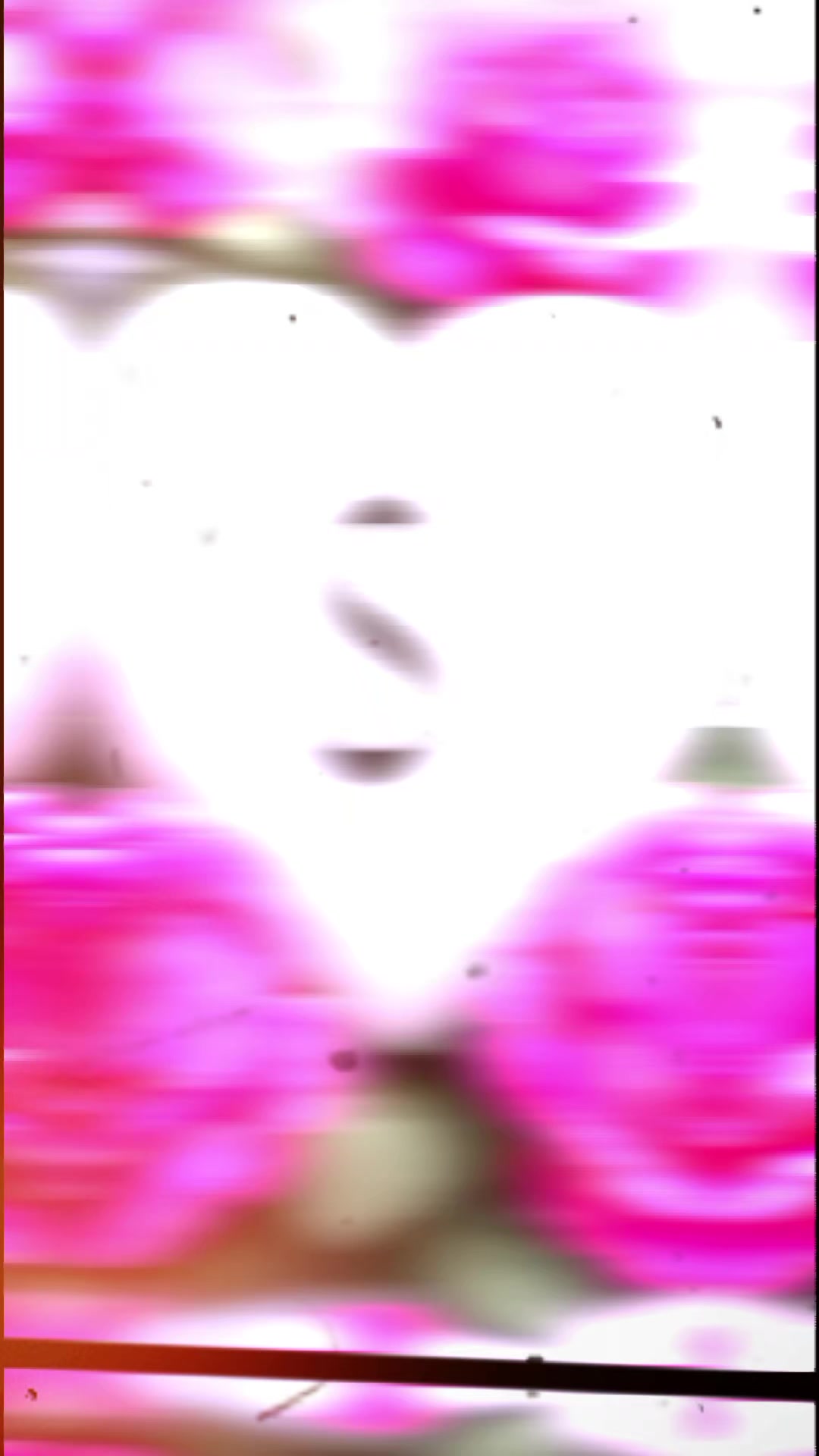 @๐_S_โค๏ธ